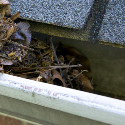 gutters cleaning